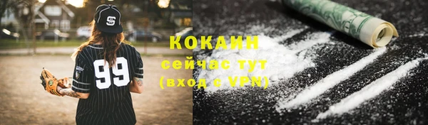 твердый Сатка