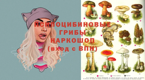 эйфоретик Алзамай