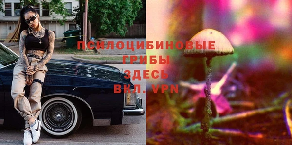 эйфоретик Алзамай