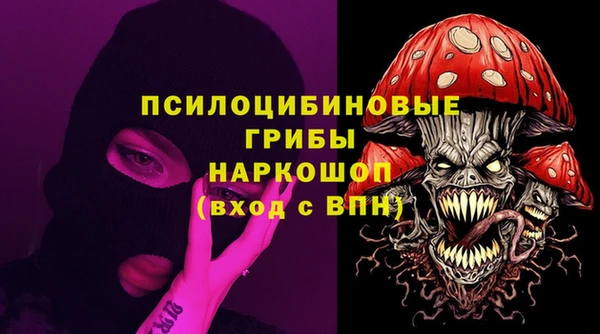 эйфоретик Алзамай