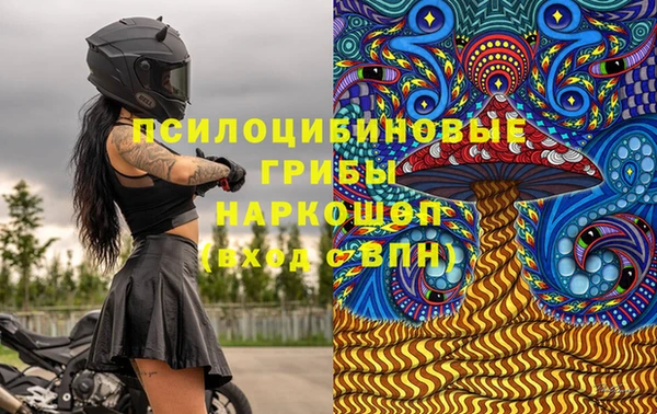 эйфоретик Алзамай