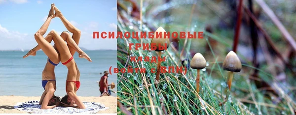 эйфоретик Алзамай
