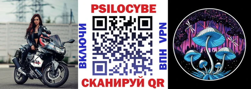 где можно купить   Суровикино  Псилоцибиновые грибы GOLDEN TEACHER 