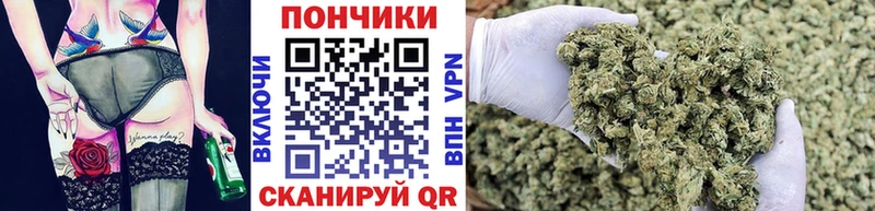 дарнет шоп  Суровикино  Конопля OG Kush 